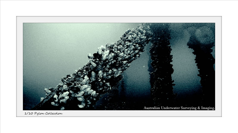 Darkside Frame ROV imaging art gallery
