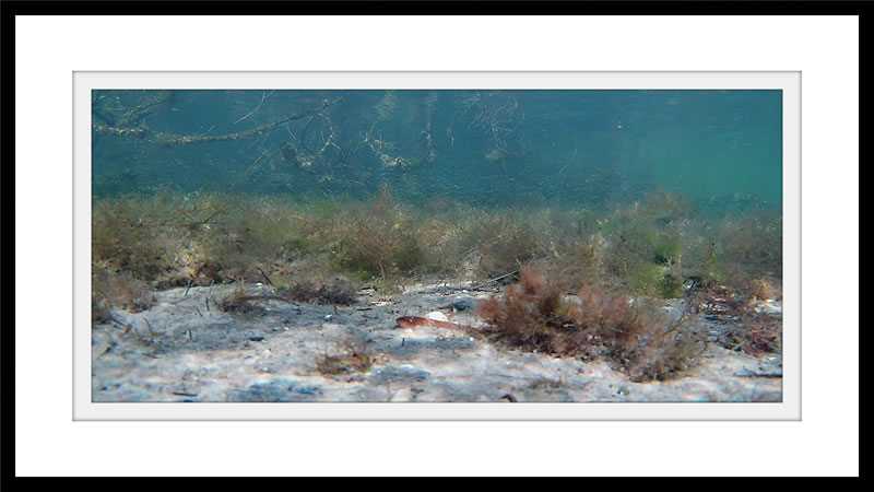 Moment ROV imaging art gallery