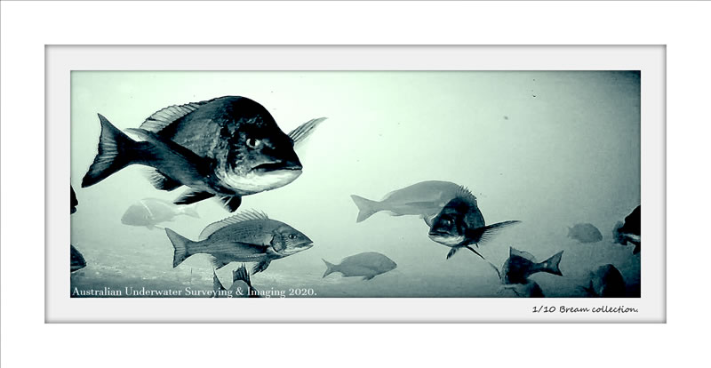 flying 2 darkside ROV imaging art gallery